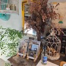 토요 뚝딱 책놀이 B | 나홀로 제주도 동쪽 뚜벅이 여행기 🌴