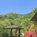 송화네민박 | 하동 삼성궁 숙소 추천 - 어거정 민박 (계곡이 바로 옆에 있어요)
