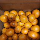 대보농장 이미지