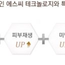예스25