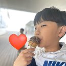 제주 스누피가든, 동심으로 돌아갔던 여행 후기 / 사진 대방출과 꿀팁!