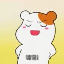 알라이