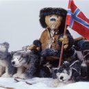 테디베어뮤지엄 이미지