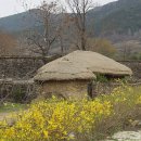 청성면사무소 이미지