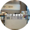 강남다온동물병원 | [광주월곡동] 안과전문 ‘다온 동물병원’ 눈 위 종양 상담 후기(검사비용 공개)_내돈내산