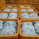 영운농장 이미지