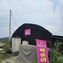 홍보농장 | 2025년 홍천 복숭아 복뜰농장 복숭아 내돈내산 후기