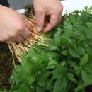 이선호농장 이미지