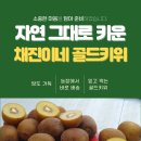 채진농장 이미지