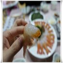 성산읍 신산포구 이미지