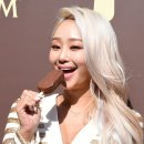 파이브센트 이미지