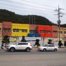 태백수족관 이미지