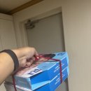 도미노피자(경주성건점)