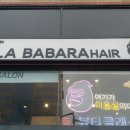 릴라 바바라 이미지
