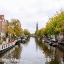 나인건설 | 2025 네덜란드, 벨기에 여행 - 암스테르담 4일차 (요르단 지구, 나인 스트리트)