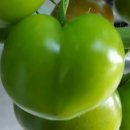 선희농장 이미지