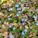 쉼 토평리 이미지