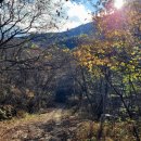 남산등산로화장실 이미지