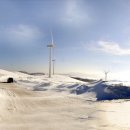 강원목장 이미지