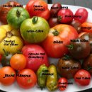 윤이 농장 이미지