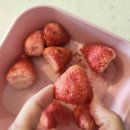 담청랩 이미지