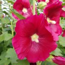 옥대3리 이미지