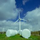 하늘아래목장 이미지