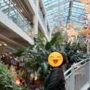 지에스25 38선휴게소점 | 송현아랑 김현아에다 자산 갖다 바친 11월의 일상 기적적인 내 애기들 3연패 달성 수원 여행가고 여수도...