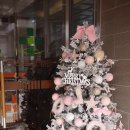 예쓰요양병원 이미지