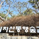 아차산 동행숲길 이미지