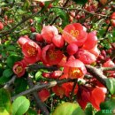 열린자리 이미지