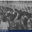 6070 바캉스의 추억 이미지