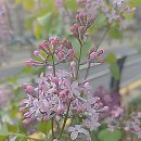 버스정류장(현대해상 앞) | 인천공항 2터미널 장기주차장 요금 주차대행 후기