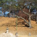 흥령선원지 이미지