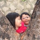 은성어린이집 이미지