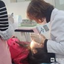 강북초등 이미지