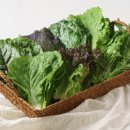 (주) 더드림유통 이미지