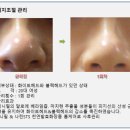 비단궁 이미지