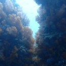 다이브투게더리조트 이미지