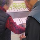 동심경로당 이미지