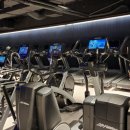 에스휘트니스 이미지