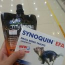 소풍동물병원 이미지