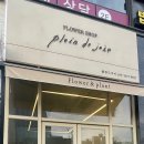 플랑드주아 이미지
