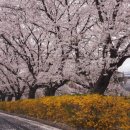 화폐박물관 이미지