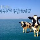바다목장 이미지