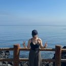 이호그린 이미지