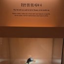 한스 강아지방 | 잔잔한 감동이 있는 서울 전시회 추천 키크니 특별전 그렸고 그런 사이 방문 후기