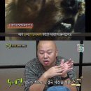 애니멀즈동물병원 이미지