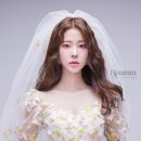 더헤움 네이버블로그