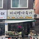 감성 가득한 다육식물 천국 송내동 식물 부천 송내동 다육이 미니벨 다육이